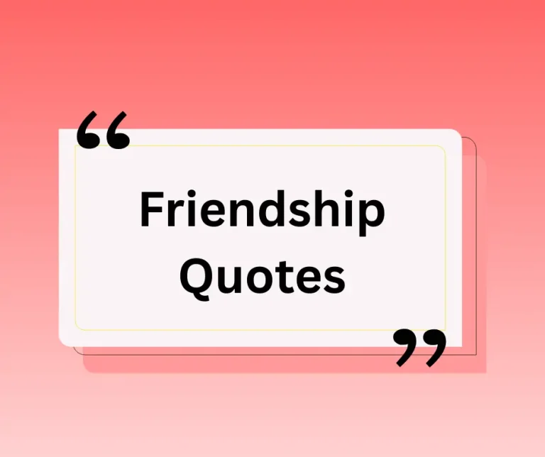 Friendship Quotes